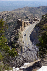 The book includes a guide for a drive up Mount Lemmon Highway, explaining the natural features at different stops. (Photo: Richard Brusca) The book includes a guide for a drive up Mount Lemmon Highway, explaining the natural features at different stops. (Photo: Richard Brusca)